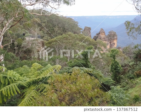 森林中聳立著嶙峋的山峰－一條通往巨型階梯的綠色走廊 137867512