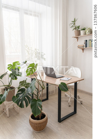 Minimalist study room featuring wooden desk, laptop, white ergonomic chair, green house plants, creating remote work environment 137867606