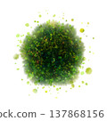 Top view of isolated common trees on a white background 137868156