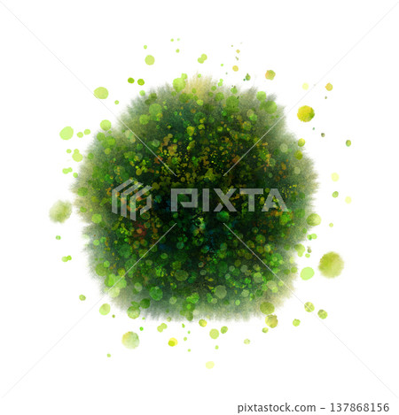 Top view of isolated common trees on a white background Top view of isolated common trees on a white background 137868156