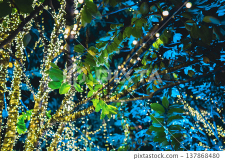 tropical tree with festive LED garland lights at night, branches wrapped in glowing holiday neon fairy lights background, creative design wallpaper, nature abstract decor tropical tree with festive LED garland lights at night, branches wrapped in glowing holiday neon fairy lights background, creative design wallpaper, nature abstract decor 137868480