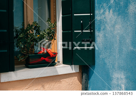 Beautiful plant in a pot on the window, Burano, Italy. Beautiful plant in a pot on the window, Burano, Italy. 137868543