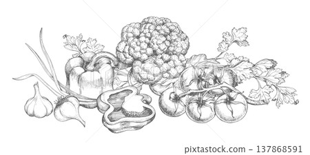 Banner of the garlic, bell peppers, tomatoes, green onion and cauliflower. For packaging design, cards, cover, prints, product labels and fabric. 137868591