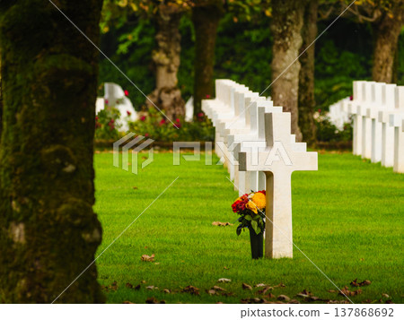 Crosses stand in a row as flowers sit at a grave in a cemetery where people remember their loved ones Crosses stand in a row as flowers sit at a grave in a cemetery where people remember their loved ones 137868692