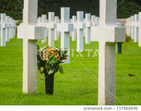 Crosses stand in a row as flowers sit at a grave in a cemetery where people remember their loved ones Crosses stand in a row as flowers sit at a grave in a cemetery where people remember their loved ones 137868696