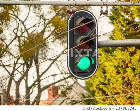 Green traffic lights against trees Green traffic lights against trees 137868743