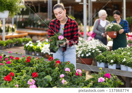 Woman walks through exhibition of ornamental plants, examines geranium in showcase 137868774