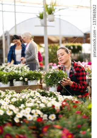 Young saleswoman holding pots of daisy chrysanthemum 137868922