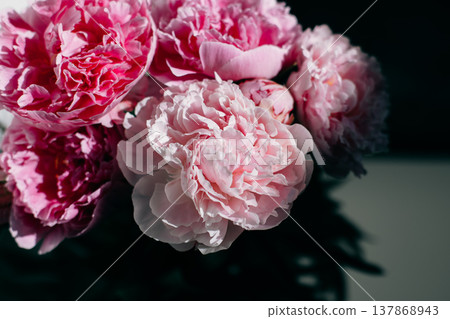 Beautiful pink peonies on a dark background. 137868943