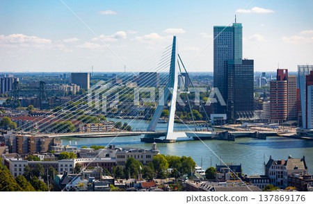 Attractive view of renowned Erasmusbrug (Swan Bridge) in Rotterdam in front of port and harbour, Netherlands 137869176