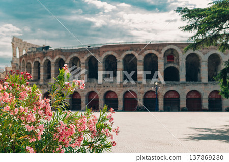 Pink oleander flowers and blurred amazing view of Verona Arena in a blue sky. A Roman amphitheatre in Piazza Bra, Verona, Italy. Pink oleander flowers and blurred amazing view of Verona Arena in a blue sky. A Roman amphitheatre in Piazza Bra, Verona, Italy. 137869280