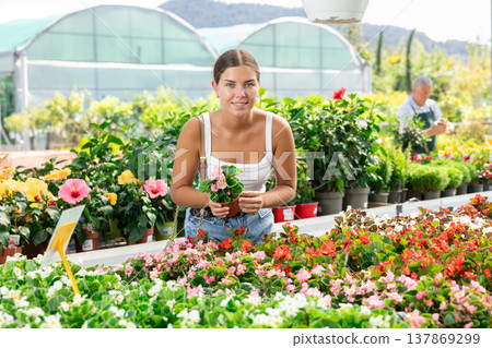 Young woman choosing begonia in pot 137869299