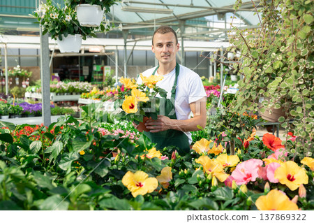Young man holding hibiscus in pot Young man holding hibiscus in pot 137869322