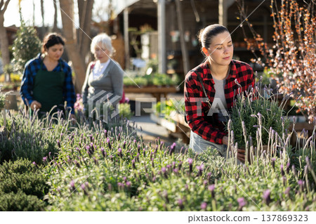 Young woman choosing lavender in flower shop Young woman choosing lavender in flower shop 137869323