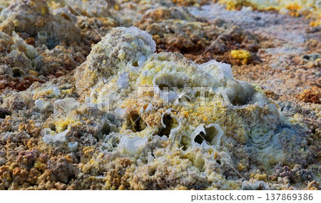 Porous sulfur and salt landscape of Dallol, Ethiopia Porous sulfur and salt landscape of Dallol, Ethiopia 137869386