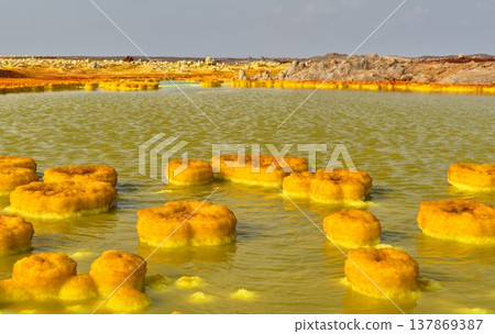 Circular sulfur formations and geothermal pools in Dallol, Ethiopia Circular sulfur formations and geothermal pools in Dallol, Ethiopia 137869387