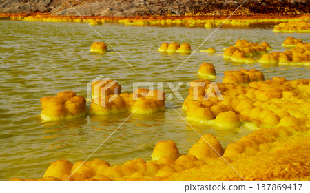 Sulfur formations appearing in the acidic lake of Dallol, Ethiopia Sulfur formations appearing in the acidic lake of Dallol, Ethiopia 137869417