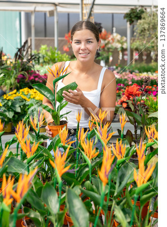 Girl walks through exhibition of ornamental plants, examines strelizia in showcase 137869664