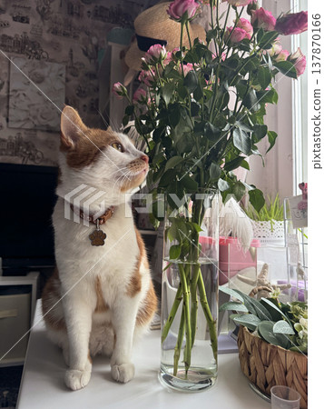 A ginger and white cat. Sits on a table by the window. Looks out the window. A vase with a bouquet of roses stands on the table. 137870166