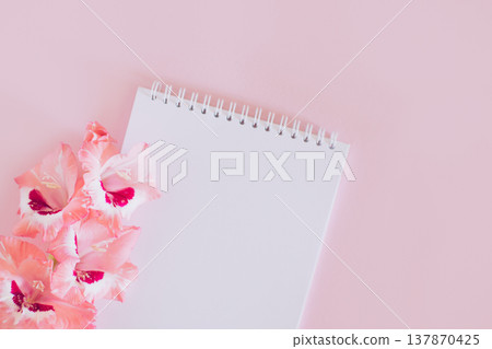 Beautiful pink Gladiolus flower and a notebook with blank page on a pink background. 137870425