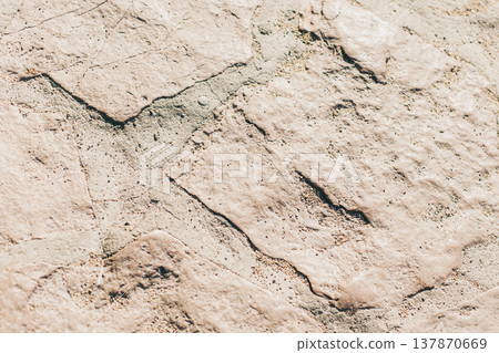 Stone Texture or Background in monochrome. Close-up. 137870669