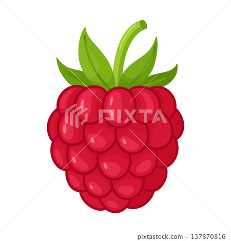 Ripe red raspberry with green leaves. Hand drawn trendy flat style isolated Ripe red raspberry with green leaves. Hand drawn trendy flat style isolated 137870816
