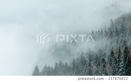 Aerial View of Winter Mountain Forest with Clouds Aerial View of Winter Mountain Forest with Clouds 137870872