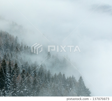 Aerial View of Winter Mountain Forest with Clouds Aerial View of Winter Mountain Forest with Clouds 137870873