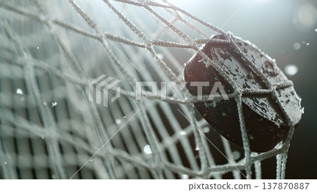An ice hockey puck hitting the back of the net as it scores a goal An ice hockey puck hitting the back of the net as it scores a goal 137870887