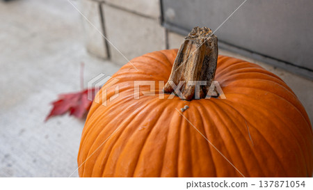 Close-up of a vibrant orange pumpkin with a textured surface and a rustic stem, resting on a concrete surface with a red maple leaf nearby Close-up of a vibrant orange pumpkin with a textured surface and a rustic stem, resting on a concrete surface with a red maple leaf nearby 137871054