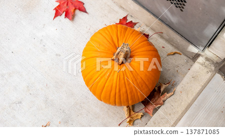 Bright orange pumpkin placed on concrete surface surrounded by fallen red and yellow autumn leaves near a building entrance Bright orange pumpkin placed on concrete surface surrounded by fallen red and yellow autumn leaves near a building entrance 137871085