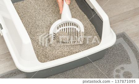 Person using a scoop to clean multi-cat litter box with gray sand and a paw print mat on a wooden floor in a bright indoor setting Person using a scoop to clean multi-cat litter box with gray sand and a paw print mat on a wooden floor in a bright indoor setting 137871095