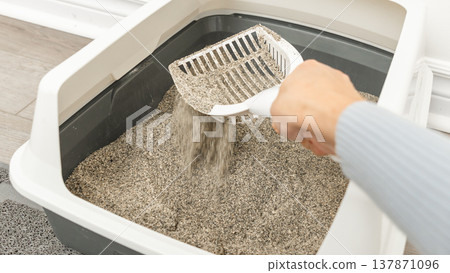 Hand holding a litter scoop removing cat litter from a gray plastic litter box placed on a light-colored floor in a home setting 137871096