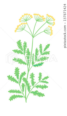 Wildflower Stem Botanical Line Art 137871424