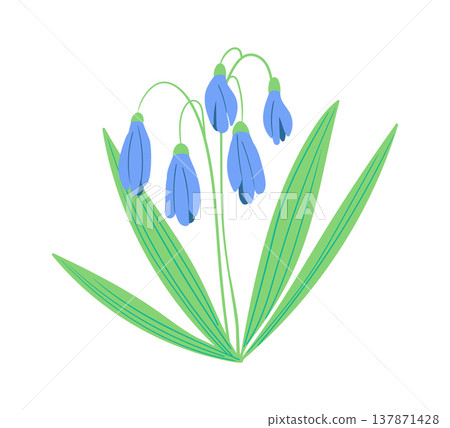 Wildflower Bell Blooms Botanical Wildflower Bell Blooms Botanical 137871428