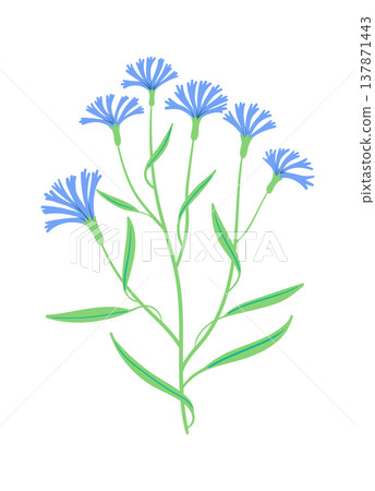 Wildflower Bouquet Botanical Line Art Wildflower Bouquet Botanical Line Art 137871443