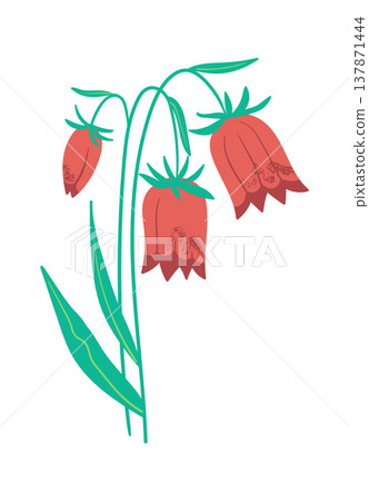Bellflower Stem Botanical Line Art 137871444