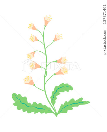 Wildflower Stem Botanical Line Art Wildflower Stem Botanical Line Art 137871461