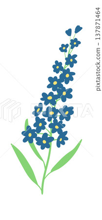 Wildflower Stem Botanical Hand Drawn 137871464