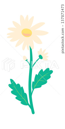 Wildflower Stem With Blossom Hand Drawn Wildflower Stem With Blossom Hand Drawn 137871473