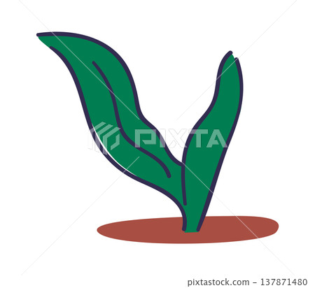 Seedling Sprouting From Soil Line Art Seedling Sprouting From Soil Line Art 137871480