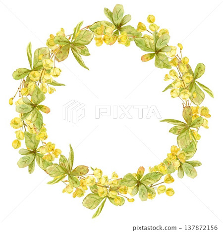 A round frame featuring a barberry wreath with yellow flowers and leaves, hand-drawn in watercolor on an isolated background. Simple spring botanical clip art with space for text. A round frame featuring a barberry wreath with yellow flowers and leaves, hand-drawn in watercolor on an isolated background. Simple spring botanical clip art with space for text. 137872156