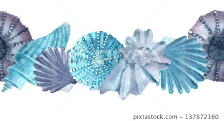 A seamless horizontal border of blue, silver, and gray seashells and sea urchins, hand-drawn in watercolor on an isolated background. Simple clip art of underwater objects for design and decoration. A seamless horizontal border of blue, silver, and gray seashells and sea urchins, hand-drawn in watercolor on an isolated background. Simple clip art of underwater objects for design and decoration. 137872160