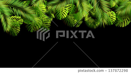 Palm leaves background on black. hand drawn. Not AI, Vector illustration 137872298