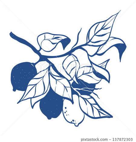 Illustration of a lemon branch with leaves. Charming hand-drawn lemon, a citrus fruit in sketch style in blue. Vector line illustration. Illustration of a lemon branch with leaves. Charming hand-drawn lemon, a citrus fruit in sketch style in blue. Vector line illustration. 137872303