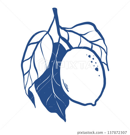 Charming hand-drawn lemon, a citrus fruit in sketch style in blue. Vector line illustration. Charming hand-drawn lemon, a citrus fruit in sketch style in blue. Vector line illustration. 137872307
