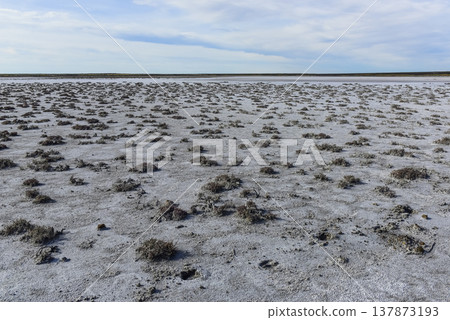 Salty soil in a dry lagoon, in the south of the province of La Pampa, Patagonia, Argentina. Salty soil in a dry lagoon, in the south of the province of La Pampa, Patagonia, Argentina. 137873193
