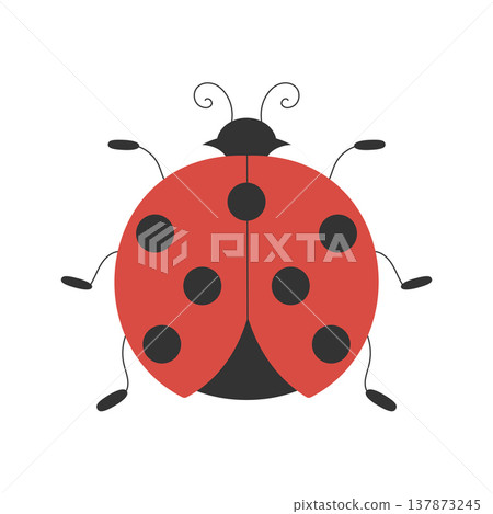Ladybug. A simple vector illustration in a flat style. White background Ladybug. A simple vector illustration in a flat style. White background 137873245