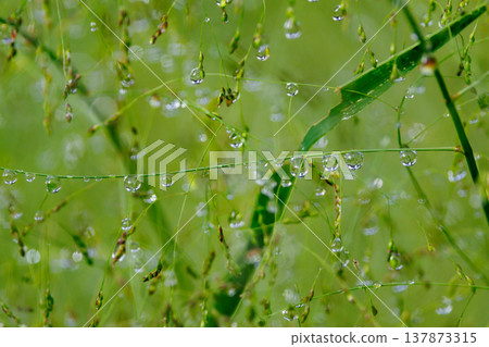 水與光所創造的輝煌 137873315