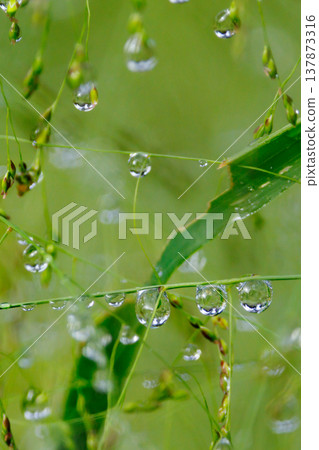 水與光所創造的輝煌 137873316